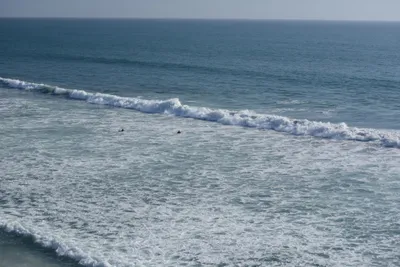 DSC_6998 (Large).JPG